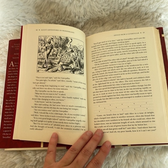 Through the looking glass by Lewis Carol great book bought at barns and nobles - Picture 5 of 8